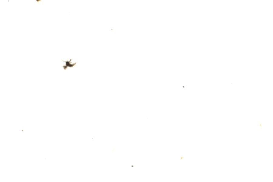 Image 110